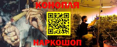 индика Славгород