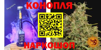 индика Славгород
