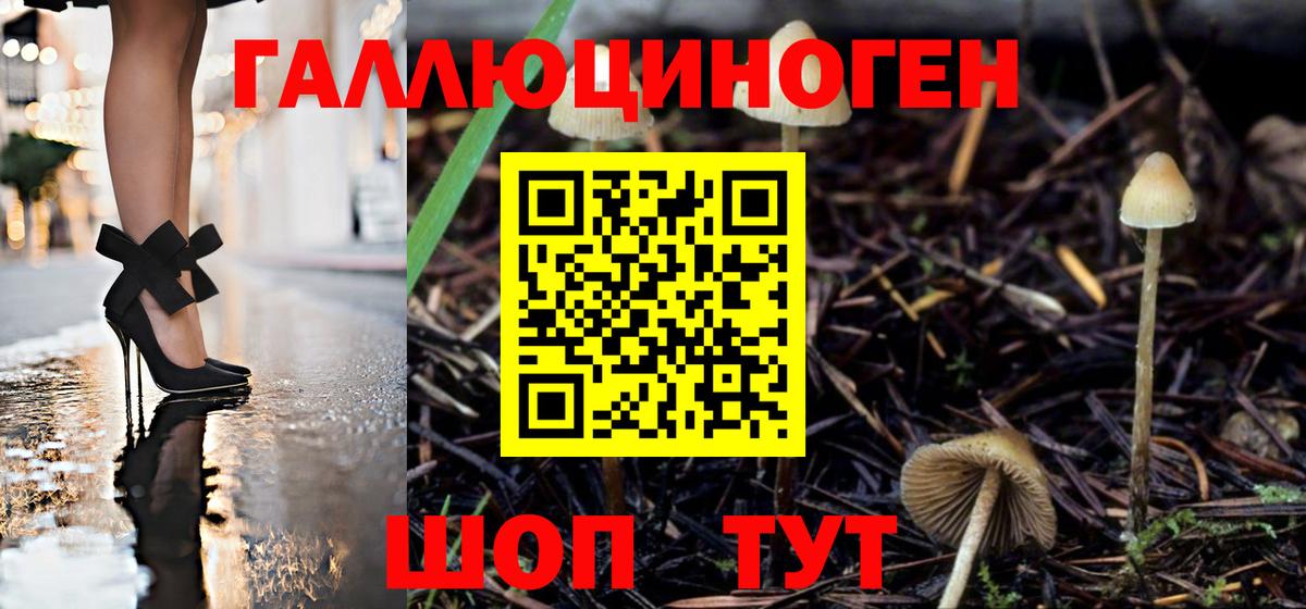 продажа наркотиков  Галлюциногенные грибы Cubensis  Вход с VPN  Павлово 